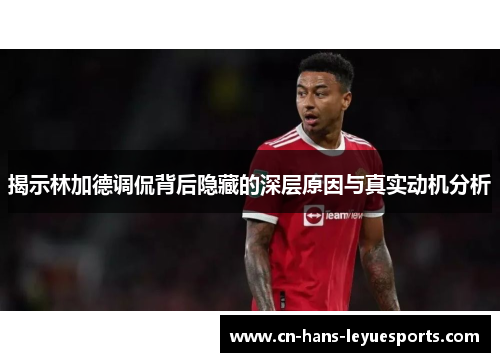 揭示林加德调侃背后隐藏的深层原因与真实动机分析