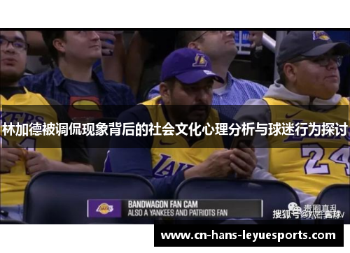 林加德被调侃现象背后的社会文化心理分析与球迷行为探讨