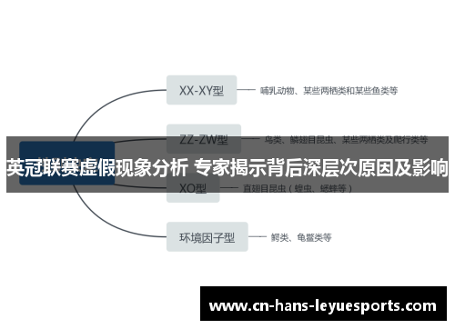 英冠联赛虚假现象分析 专家揭示背后深层次原因及影响