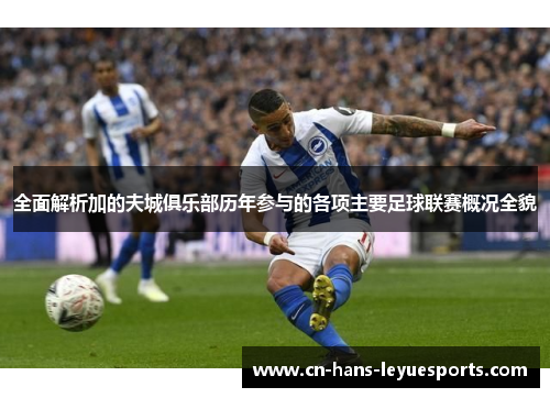 全面解析加的夫城俱乐部历年参与的各项主要足球联赛概况全貌