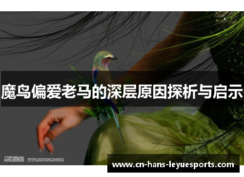 魔鸟偏爱老马的深层原因探析与启示