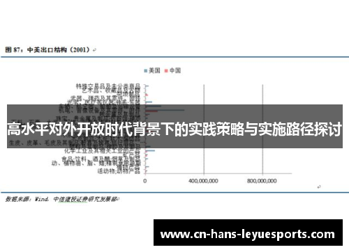 高水平对外开放时代背景下的实践策略与实施路径探讨